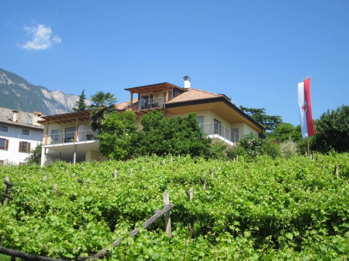 Ferienwohnungen St. Michael Appiano Sulla Strada Del Vino Kültér fotó