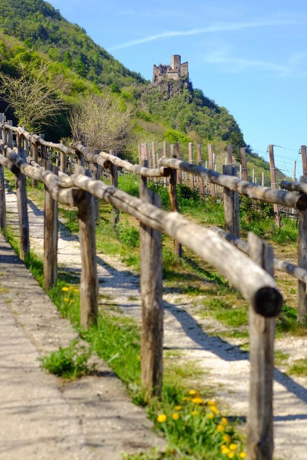 Ferienwohnungen St. Michael Appiano Sulla Strada Del Vino Kültér fotó